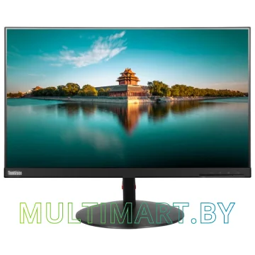 Монитор Lenovo ThinkVision T24i-10 61CEMAT2EU